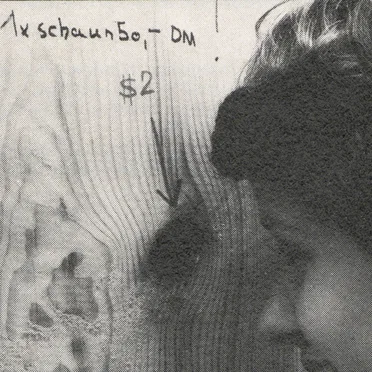 Spin That Girl Around by Euros Childs - album cover