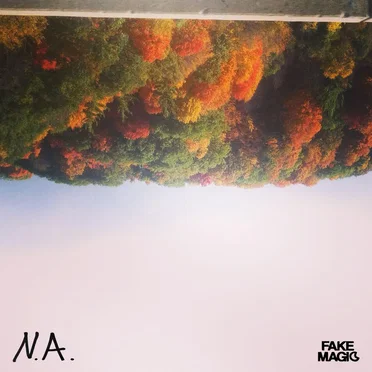 N.A. by Fake Magic - album cover