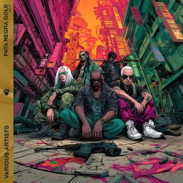 Pata Negra Gold Vol.5 by Various Artists - album cover