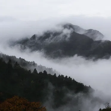 山の音 -Mountain Sound-