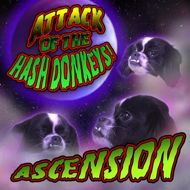 Attack of the Hash Donkeys