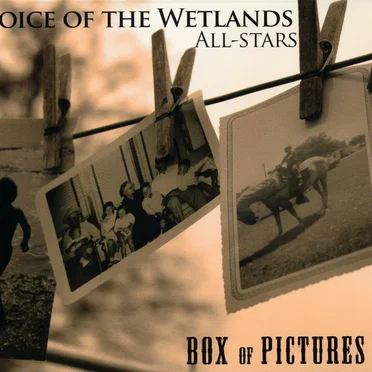 Box of Pictures by Voice of the Wetlands Allstars - album cover