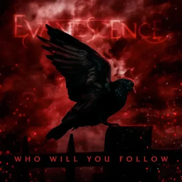 Who Will You Follow