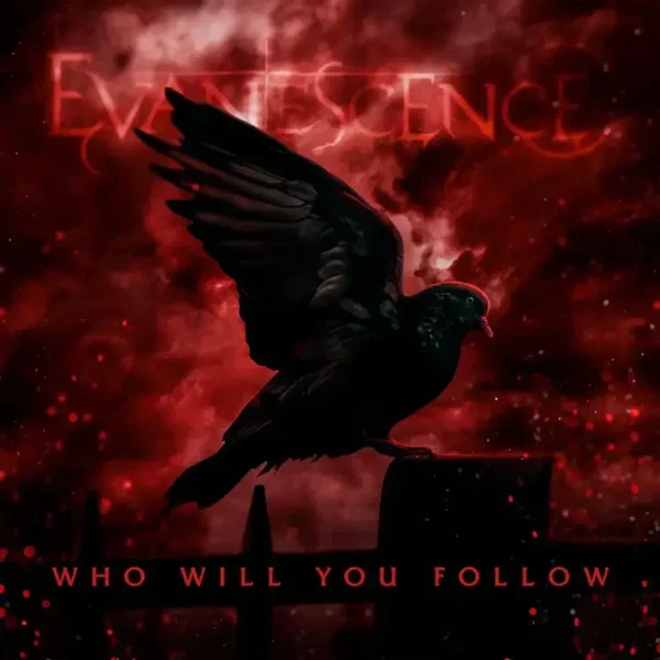 Who Will You Follow