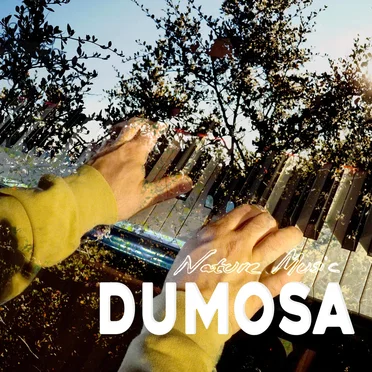 Nature Music
