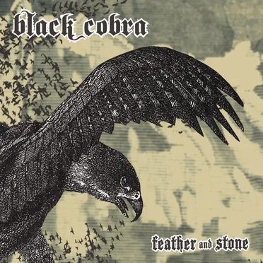 Feather and Stone by Black Cobra - album cover