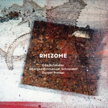 Rhizome