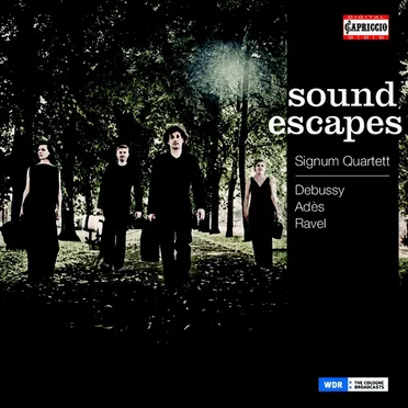 Sound Escapes
