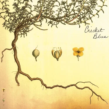 Cricket Blue EP