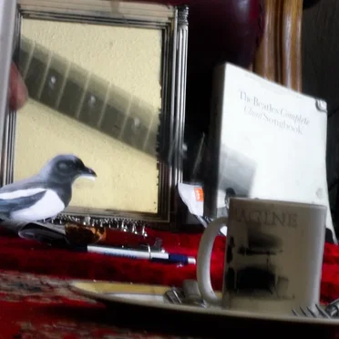 The Mirror And The Magpie
