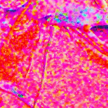 Seizure EP