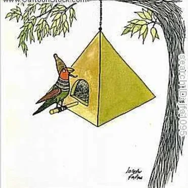 Bird Call by Pyramid Juke - album cover