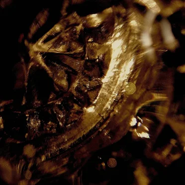 Artifacts of Disbelief