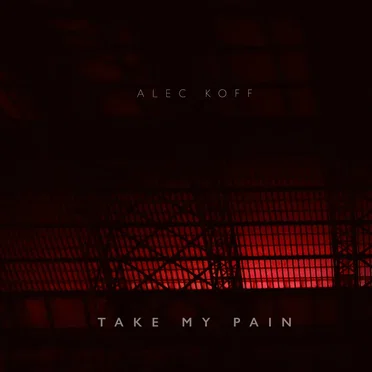 Take My Pain