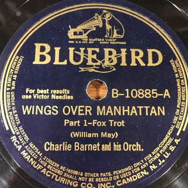 Wings Over Manhattan