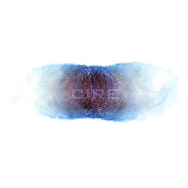 Adrenological by Cire - album cover