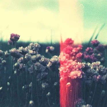 The Catastrophe Machine