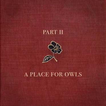 Pt. 2 by A Place for Owls - album cover