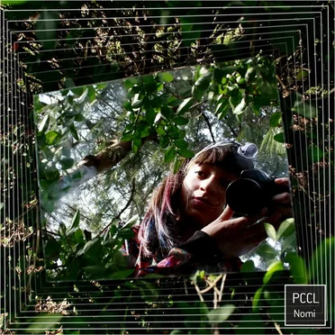 Nomi by PCCL - album cover