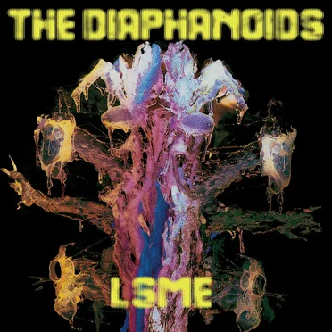 LSME by The Diaphanoids - album cover