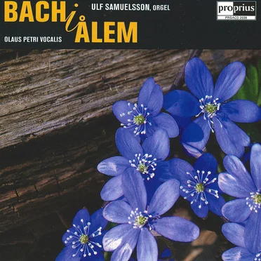 Bach i Ålem