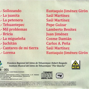 Bricia by Florencio Toledo - album cover