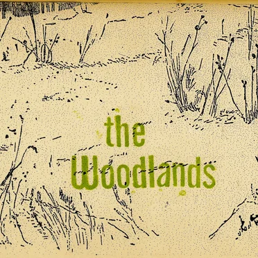 The Woodlands by The Woodlands - album cover