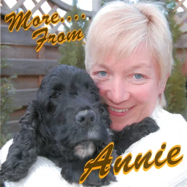 More… from Annie by Annie - album cover