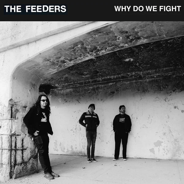 Why Do We Fight