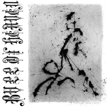 XLIV by Bull of Heaven - album cover