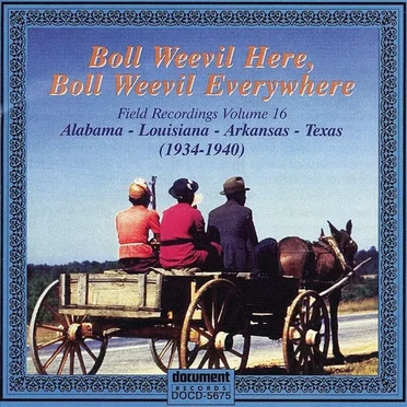 Boll Weevil Here, Boll Weevil Everywhere (Field Recordings Volume 16: Alabama, Louisiana, Arkansas, Texas (1934-1940)) by Various Artists - album cover
