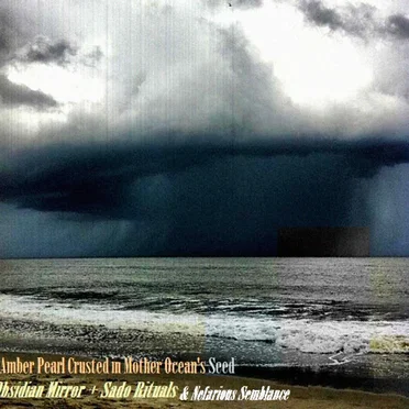 Amber Pearl Crusted in Mother Ocean’s Seed