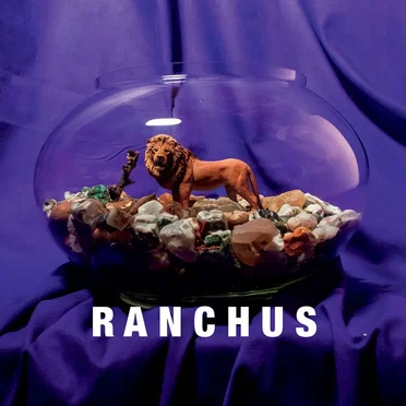 Feeling Like a Caged Lion Pacing Behind One Way Glass by Ranchus - album cover
