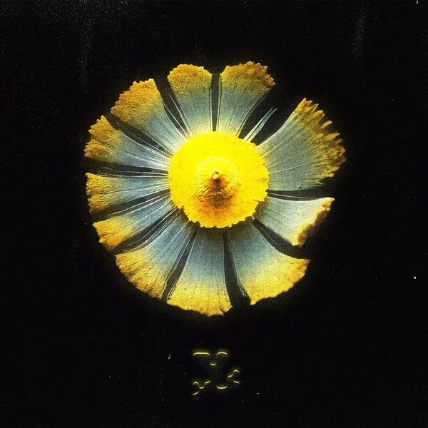 SPECIMENS