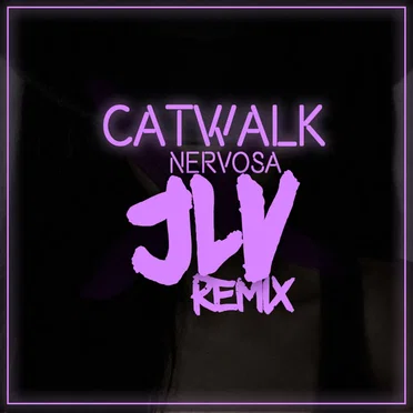 Catwalk (JLV) Remix