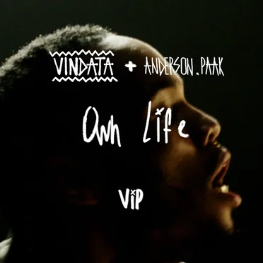 Own Life (VIP)