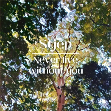 Never Live Without You by Stjep - album cover