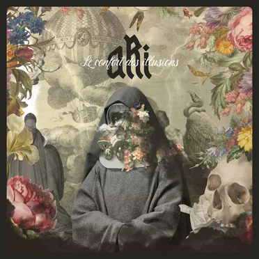 Le Confort des illusions by Ari - album cover