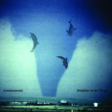 Dolphins in the Wind by Antmanmusic - album cover