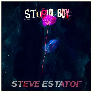 Stupid Boy