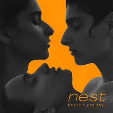 Nest by Velvet Volume - album cover