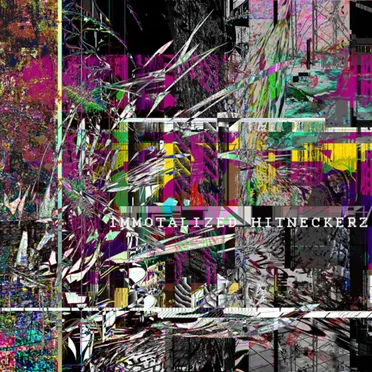 IMMOTALIZED HITNECKERZ by Various Artists - album cover