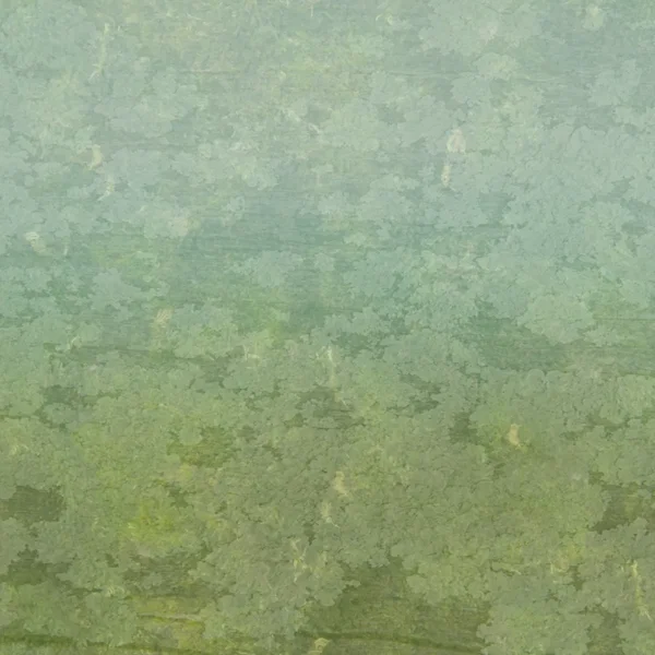 Stoner Lake in G