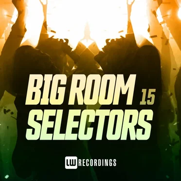 Big Room Selectors, 15 by Various Artists - album cover