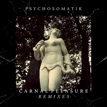 Carnal Pleasure (Remixes)