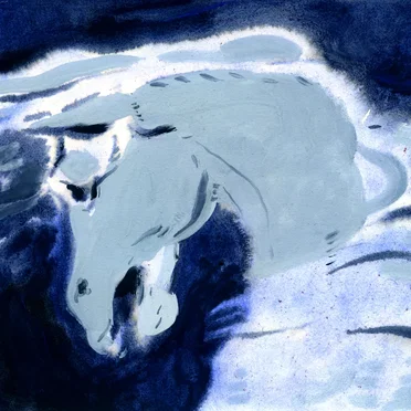 Nine White Moons