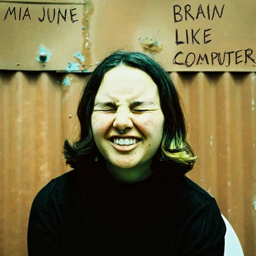 Brain Like Computer