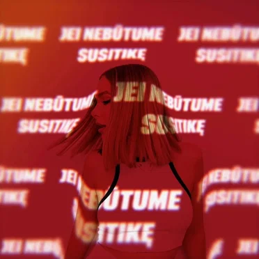 Jei nebūtume susitikę