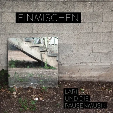 Einmischen