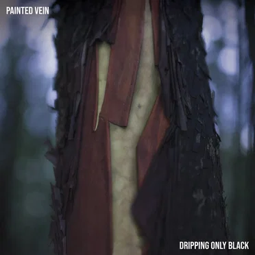 Dripping Only Black by Painted Vein - album cover
